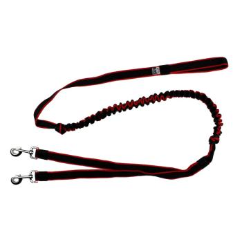 Ruckdämpferleine 2 Hunde SK Hellgrün